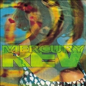 Yerself Is Steam + Car Wash Hair