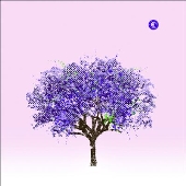 Tomorrow Morning＜限定盤＞