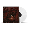 Torture (Phd Exclusive)＜White Vinyl＞