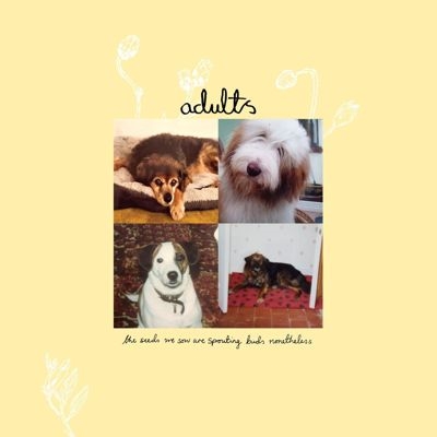 TOWER RECORDS ONLINE㤨The Adults/The Seeds We Sow Are Sprouting Buds Nonetheless/Green Vinyl[FIKA110LP]פβǤʤ5,990ߤˤʤޤ