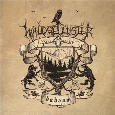 TOWER RECORDS ONLINE㤨Waldgefluster/Dahoam[AOP088LP]פβǤʤ5,990ߤˤʤޤ