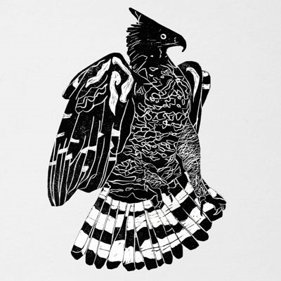 Crowned Eagle Crowned Eagle