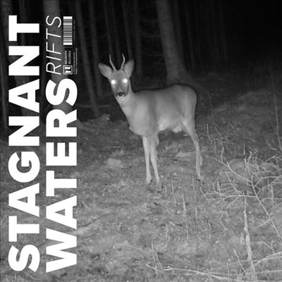 TOWER RECORDS ONLINE㤨Stagnant Waters/Rifts LP+CDϡס[NRP135LP]פβǤʤ5,790ߤˤʤޤ