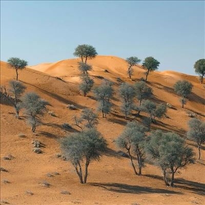 TOWER RECORDS ONLINE㤨Teleseen/Exposures EP[HEIST049]פβǤʤ2,490ߤˤʤޤ
