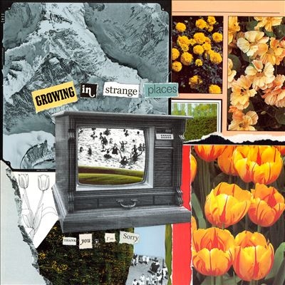 Growing In Strange Places＜限定盤/Colored Vinyl＞