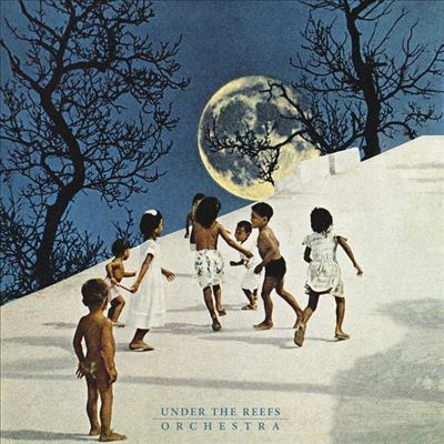 TOWER RECORDS ONLINE㤨Under The Reefs Orchestra/Under the Reefs Orchestra[CAPITANE007]פβǤʤ4,190ߤˤʤޤ