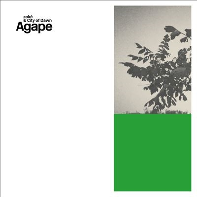 Zake/Agape[VISTA012LP]
