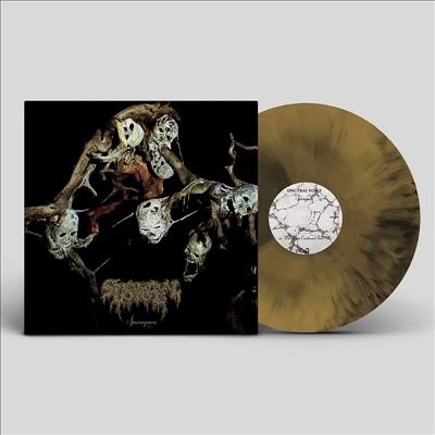 Sparagmos＜限定盤/Gold & Black Galaxy Vinyl＞