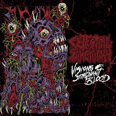 TOWER RECORDS ONLINE㤨Celestial Sanctuary/Visions Of Stagnant BloodColored Vinyl[161502]פβǤʤ5,690ߤˤʤޤ