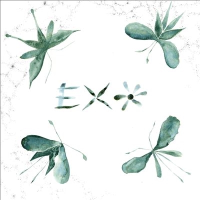 Exo/Exo[MUS312]