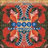 Nivraym Revisted＜Randomly Coloured Vinyl＞