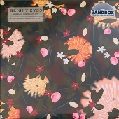 Noise Floor (Rarities 1998-2005)＜Colored Vinyl＞