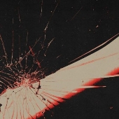 Angel Hymns＜限定盤/Bloodlust Marble Vinyl＞