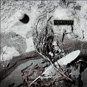 Secrets of the Beehive＜Yellow Opaque Black Vinyl＞