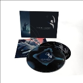 DARK TRANQUILLITY（ダーク・トランキュリティ）、10年の時を