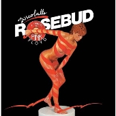 Discoballs: A Tribute To Pink Floyd