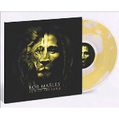 Sun Is Shining<限定盤/Liquid Sun Like Yellow Vinyl>