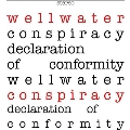 Declaration Of Conformity<限定盤/Red Splatter Vinyl>
