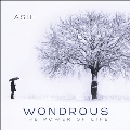 Wondrous (The Power of Life)