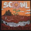 How Flowers Grow＜Red/Light Pink Vinyl＞