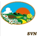 SVN