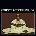 Anthony Reebop Kwaku Baah
