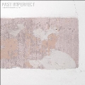 Past Imperfect the Best of Tindersticks 92-21