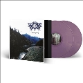 A Misleading Reality<Gold & Purple Marble Vinyl>