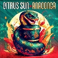 Anaconga