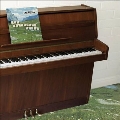 The Sophtware Slump ..... On A Wooden Piano<Pink Vinyl>
