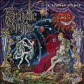 A Social Grace (2024 Re-Issue)<限定盤>