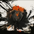 Wonderland/Running＜限定盤＞