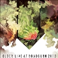 Live at Roadburn 2013