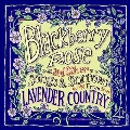 Blackberry Rose<Blackberry Colored Vinyl>