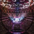 All One Tonight: Live at the Royal Albert Hall