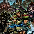 Teenage Mutant Ninja Turtles Part II: The Secret Of the Ooze<Colored Vinyl>