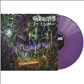 Dark Superstition<限定盤/Purple Vinyl>