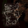 Holding A Wolf By The Ears<限定盤>