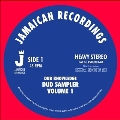 Dub Sampler Volume 1