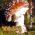 Fungus Amongus