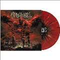 Morbid Visions<Red With Black & White Splatter Vinyl>