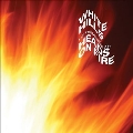 The Revenge of Heads on Fire<Psyche Swirl Vinyl>
