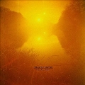 The Last Thing<Orange/Yellow Vinyl>