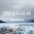 Life in Slow Motion (20th Anniversary Deluxe Edition)＜限定盤/Glacial Blue Vinyl＞