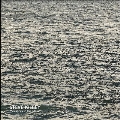 Whispers In The Static [LP+CD]＜限定盤/Grey Vinyl＞