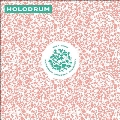 Holodrum