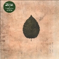 The Cold Still<限定盤/Forest Green Vinyl>