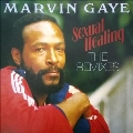 Sexual Healing: The Remixes<Colored Vinyl>