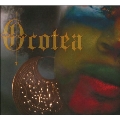 The Jyoti : Ocotea