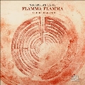 Nicholas Lens: Flamma Flamma - The Fire Requiem